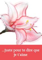 juste pour te dire que je t'aime